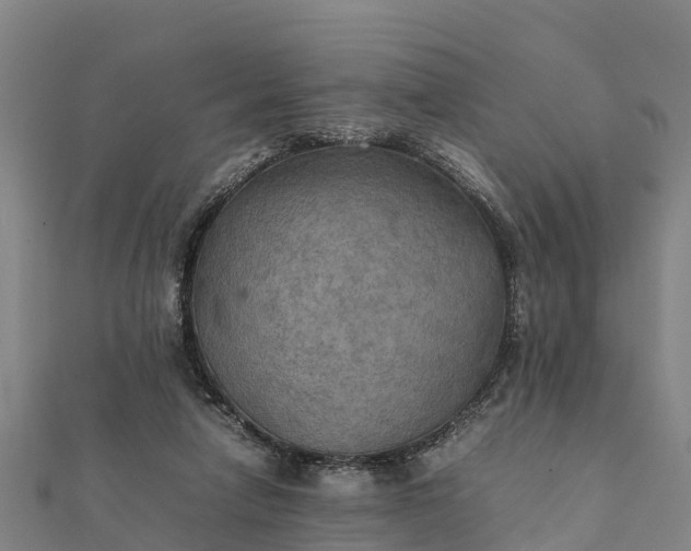 X0000112090258200908181310