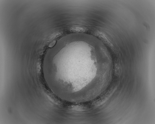 X0000112090259200908181310