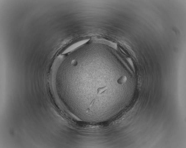 X0000112090260200908181310