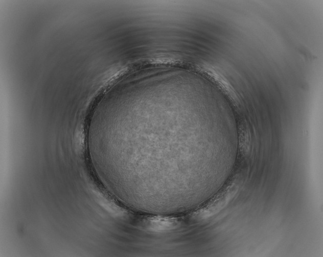 X0000112090261200908181310