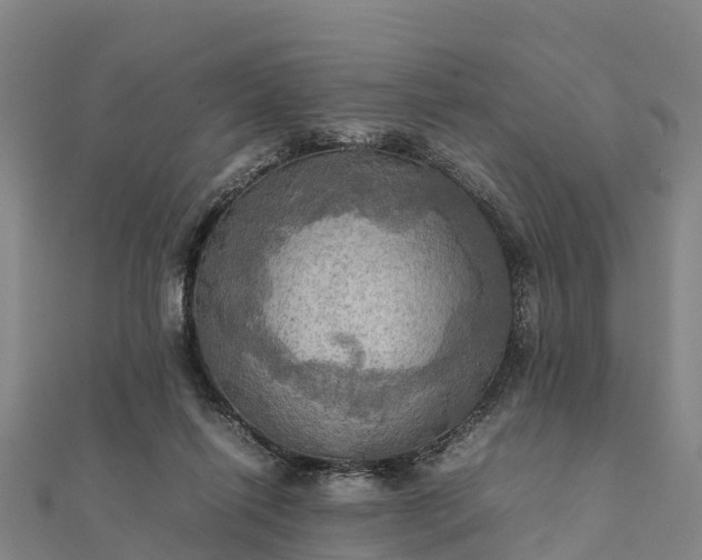 X0000112090262200908181310