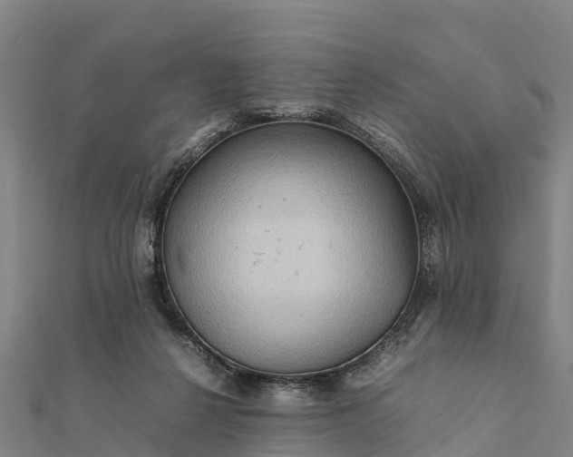 X0000112090264200908181310