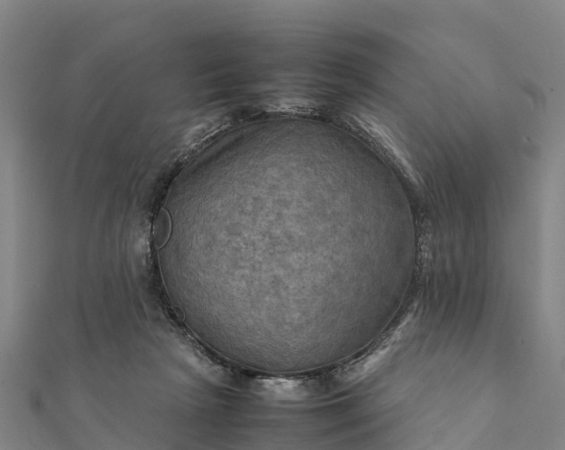 X0000112090265200908181310