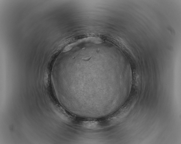 X0000112090266200908181310