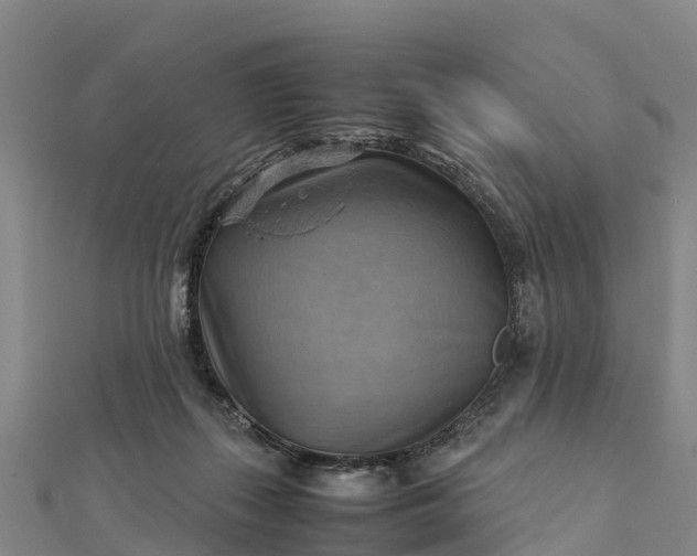 X0000112090267200908181310