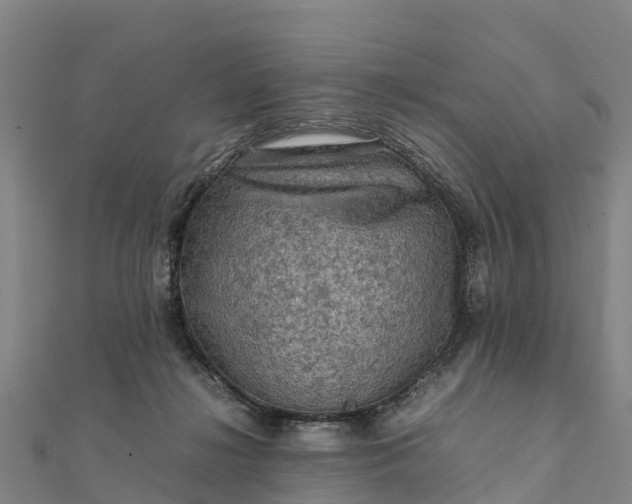 X0000112090268200908181310