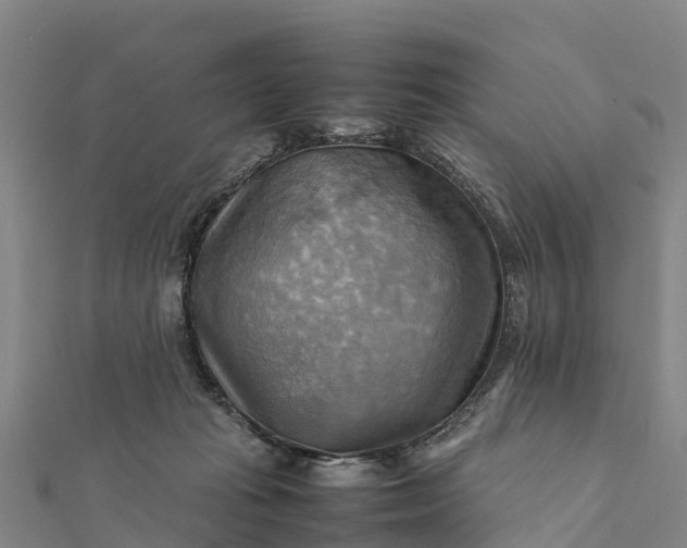 X0000112090269200908181310