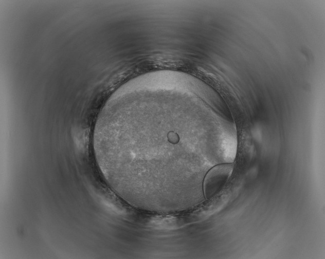 X0000112090271200908181310