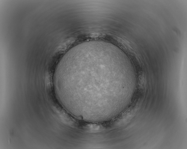 X0000112090272200908181310