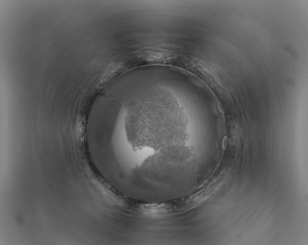 X0000112090273200908181310