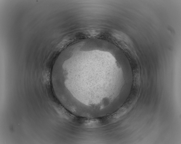 X0000112090274200908181310