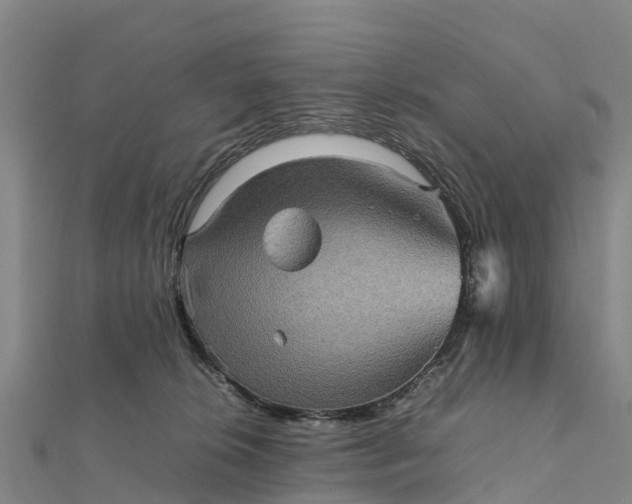 X0000112090276200908181310