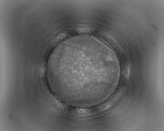 X0000112090277200908181310