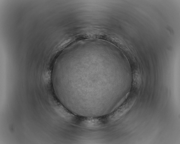 X0000112090278200908181310