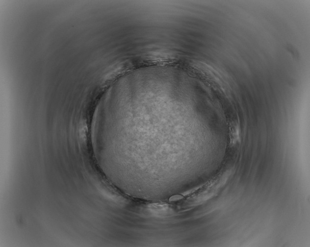 X0000112090279200908181310