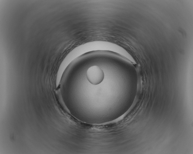 X0000112090280200908181310