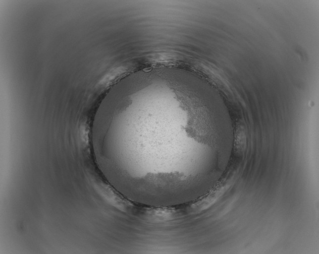 X0000112090282200908181310