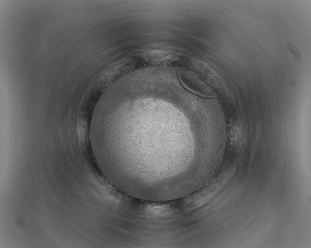 X0000112090283200908181310