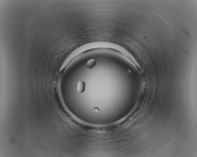 X0000112090284200908181310