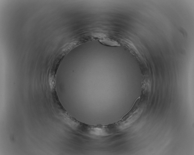 X0000112090285200908181310