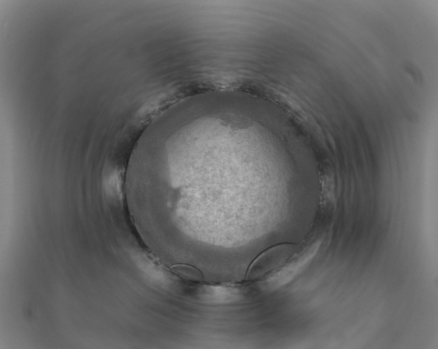 X0000112090286200908181310