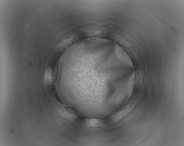 X0000112090287200908181310