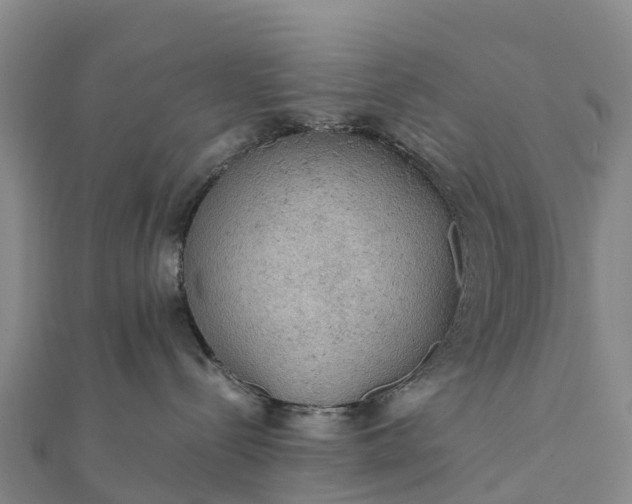 X0000112090288200908181310