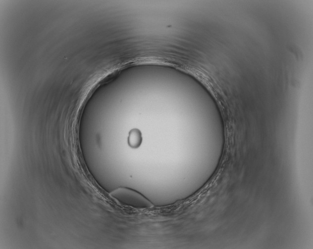 X0000112090289200908181309