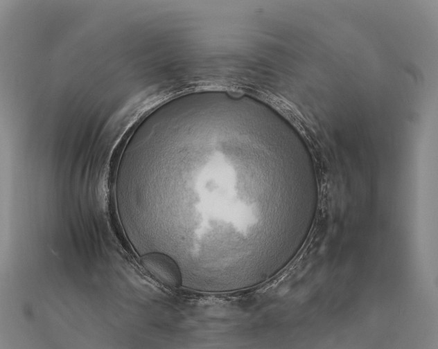 X0000112090290200908181309