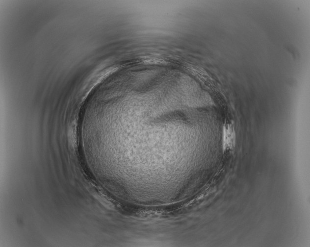 X0000112090291200908181309