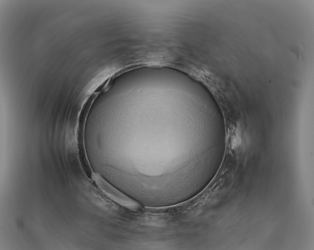 X0000112090292200908181309