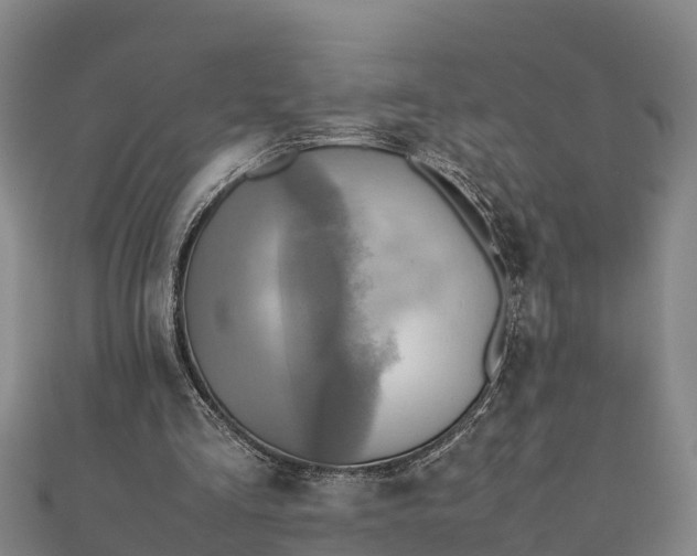 X0000112090293200908181309