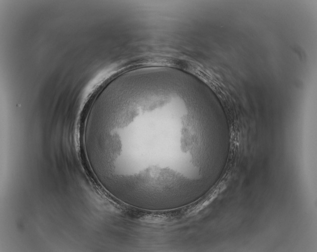 X0000112090294200908181309