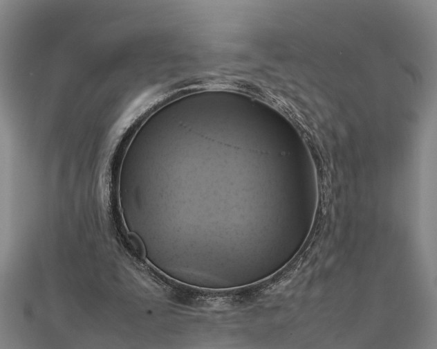 X0000112090295200908181309