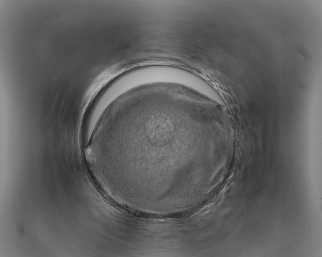 X0000112090296200908181309