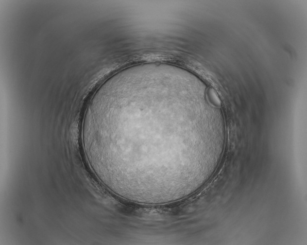 X0000112090297200908181309