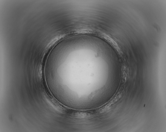 X0000112090298200908181309