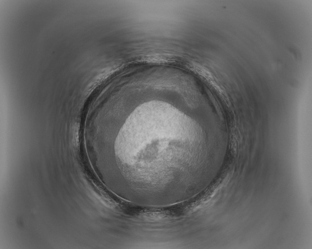 X0000112090299200908181309