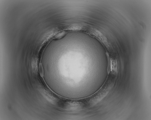 X0000112090300200908181309