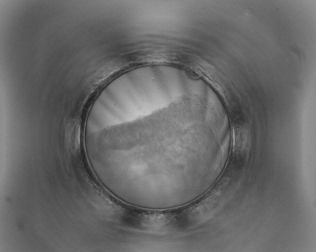 X0000112090301200908181309