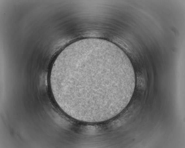 X0000112090302200908181309