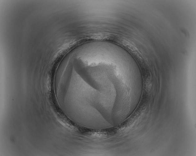 X0000112090303200908181309