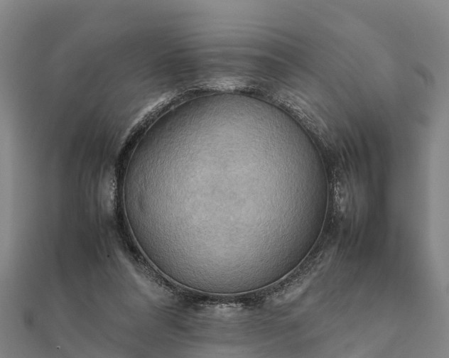 X0000112090304200908181309