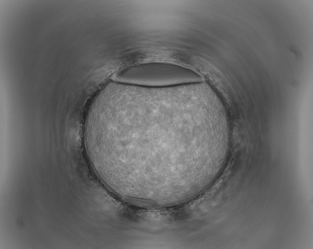 X0000112090305200908181309