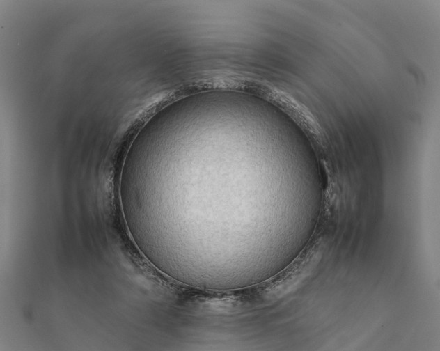 X0000112090306200908181309