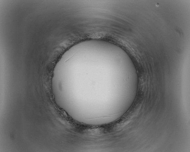 X0000112090307200908181309