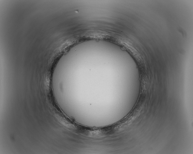 X0000112090309200908181309