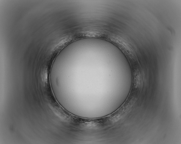 X0000112090310200908181309