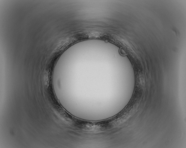 X0000112090311200908181309