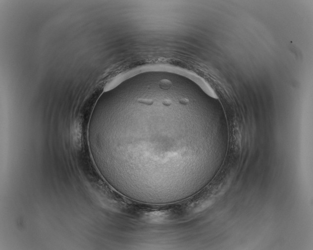 X0000112090312200908181309